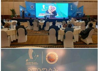 “የመንግሥት አገልግሎት ሰጪ ተቋማት ለዜጎች ክብር ያለው አገልግሎት መስጠት ይጠበቅባቸዋል” ሰላም ሚኒስቴር