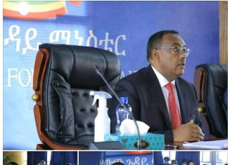 በሁሉም የሀገሪቱ አካባቢዎች የሚታዩ የኢንቨስትመንት ማነቆዎች አፋጣኝ መፍትሔ ሊሰጣቸው እንደሚገባ ምክትል ጠቅላይ ሚኒስትርና የውጭ ጉዳይ ሚኒስትር ደመቀ መኮንን አሳሰቡ።