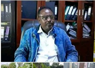 በባሕር ዳር ሊከሰት የሚችለዉን የጎርፍ አደጋ ለመከላከል የሚያስችል ሥራ መሥራቱን የባሕር ዳር ከተማ አስተዳደር መንገድ ባለሥልጣን ጽሕፈት ቤት አስታወቀ።