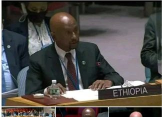 “የጸጥታው ምክር ቤት የህዳሴውን ግድብ ጉዳይ የማየት ስልጣን የለውም” ኢንጅነር ስለሺ በቀለ