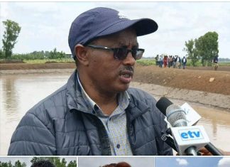 የጎርፍ አደጋን ለመቀነስ የተከናወኑ ተግባራት በአደጋው የሚፈጠር መፈናቀልን ከ80 እስከ 90 በመቶ እንደሚቀንሱ ተገለጸ፡፡