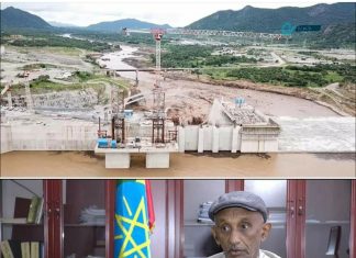“የታላቁ ሕዳሴ ግድብ ግንባታን ለማጠናቀቅ ከመቼውም ጊዜ በተለየ ሁኔታ በተቀናጀ መንገድ መንቀሳቀስ ያስፈልጋል” ዶክተር አረጋዊ በርሔ