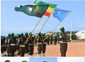 በአሚሶም ሴክተር 6 የሚገኘው የመከላከያ ሠራዊት 5ኛ ሞተራይዝድ ሻለቃ የሜዳሊያ ሽልማት ተበረከተለት፡፡