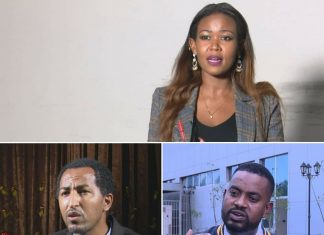 ለዓለም አቀፍ መገናኛ ብዙኀን የመልስ ምት የሚሰጥ እና ሴራውን የሚያጋልጥ ጠንካራ የመገናኛ ብዙኀን መገንባት እንደሚያስፈልግ በዓለም አቀፍ መገናኛ ብዙኀን ውስጥ የሚሠሩ ጋዜጠኞች ተናገሩ፡፡