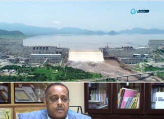 “ለታላቁ ሕዳሴ ግድብ ግንባታ መምሕራን የሚያደርጉትን ድጋፍ ለማጠናከር ታቅዷል” የኢትዮጵያ መምህራን ማኅበር