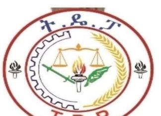 የትህነግ አሸባሪ ቡድን ሕጻናትን ለጦርነት በማሰለፍ እየፈፀመ ባለው ወንጀል ተጠያቂ እንዲሆን ትዴፓ ጥሪ አቀረበ።