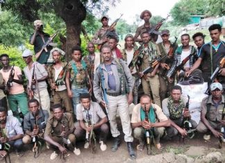 አሸባሪውን የትህነግ ቡድን ለመደምሰስ መዘጋጀታቸውን የአዳኝ አገር ጫቆ ወረዳ የሚሊሻ ኀይል አባላት ገለጹ።