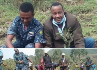 የከተማቸውን ሰላም በመጠበቅ የአረንጓዴ አሻራ መርሃ ግብር እያከናወኑ መሆናቸውን የኮምቦልቻ ከተማ ነዋሪዎች ተናገሩ፡፡