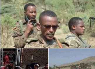 በሰሜን ዕዝ የ6ኛ ሠርዶ ሜካናይዝድ ክፍለ ጦር የአየር መቃወሚያ ሻለቃ በሕግ ማስከበሩ ሂደት ስኬታማ ግዳጅ መፈጸሙ ተገለጸ።