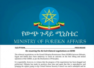 የሦስትዮሽ ድርድሩ ሁሉንም ወገን ተጠቃሚ በሚያደርግ መልኩ እንዲቋጭ ኢትዮጵያ በቁርጠኛነት እንደምትሠራ የውጭ ጉዳይ ሚኒስቴር አስታወቀ፡፡