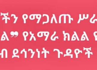 ❝ሰርጎ ገቦችን የማጋለጡ ሥራ ተጠናክሮ ይቀጥላል❞ የአማራ ክልል የሰላምና ሕዝብ ደኅንነት ጉዳዮች ቢሮ