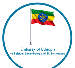 “ፖለቲኮ ዩሮፕ”ያወጣው ጽሑፍ የኢትዮጵያን ነባራዊ ሁኔታ እንደማይገለጽ በብራሰልስ የኢትዮጵያ ኤምባሲ አስታወቀ፡፡