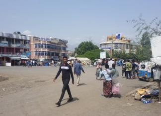 ብዙዎች ያወራሉ ወልድያዎች ይሠራሉ…