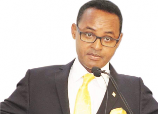 “ኢትዮጵያ የውጭ ኃይል ጣልቃ እንዲገባባት የማትፈቅድ ሀገር ናት” የቀድሞ የአሜሪካ የኮንግረስ እጩ አቶ ቴዎድሮስ ዓለማየሁ