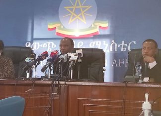 It is time to make any sacrifices to rescue Ethiopia: Members of the Ethiopian Public Diplomacy Corps