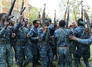 ፌዴራል ፖሊስ በአሸባሪው ቡድን የተያዙ ስትራቴጂክ ቦታዎችን ማስለቀቁን አስታወቀ።