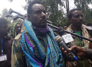 የደባርቅ ከተማ ወጣቶች ከሀገር መከላከያ ሠራዊት፣ ከአማራ ልዩ ኃይል፣ ሚሊሻ እና ፋኖ ጋር በመሆን ሽብርተኛው ትህነግን በመደምሰስ አኩሪ ገድል እየፈጸሙ ነው።