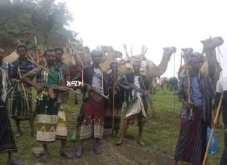 ❝እንኳንስ ሰዎቹ ዘማቾች ናቸው ግመሎቹ❞