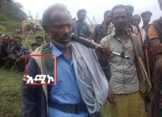 “የወሎ ገበሬ ደጉ ደጉ ሰው፣ ያባቱን ባድማ በማረሻ ሳይሆን በአፈሙዝ አረሰው።”