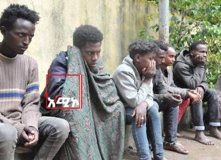 አሸባሪው የትግራይ ወራሪ ቡድን ወደ ጦርነት የማገዳቸው የትግራይ ወጣቶች እጃቸውን በሰላም እንዲሰጡ የተማረኩ የአሸባሪ ቡድን አባላት ጥሪ አቀረቡ፡፡