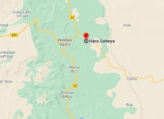 ወራሪው እና አሸባሪው የትህነግ ቡድን በሀራ ገበያ ከተማ አስተዳደር ያደረሰው ጥፋት ለሕዝብ ያለውን ጥላቻ እንደሚያሳይ የከተማዋ ከንቲባ ገለጹ፡፡