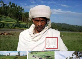“ሽብርተኛው ትህነግ መተዳደሪያችን የሆኑትን እንስሳት ገድሎ ቀሪ ንብረታችንን አውድሞ ነው የሄደው” አርሶ አደሮች