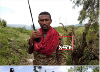 “ደብረ ዘቢጥ ተራራማ ላይ የተወሸቀው የአሸባሪው የትግራይ ወራሪ ቡድን በቅርቡ ይቀበራል” በደብረ ዘቢጥ ግንባር የሚገኙ የሀገር መከላከያ ሠራዊት አዛዥ