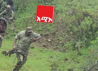 የአማራ ፋኖ ሀገር አፍራሹን አሸባሪ ቡድን አከርካሪ ለመስበር ከሀገር መከላከያ ሠራዊት፣ ከሁሉም ክልል ከተውጣጡ ልዩ ኅይሎችና ከአማራ ሚሊሻ ጋር በመኾን አኩሪ ድሎችን እያስመዘገበ ነው፡፡