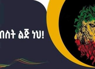 አንተ የአናብስት ልጅ ነህ!