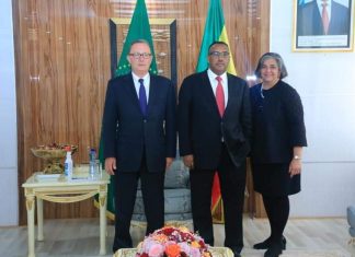The United States’ position on the situation in Ethiopia does not reflect the historical ties between the two countries- Deputy Prime Minister and Foreign Minister Demeke Mekonnen