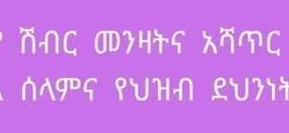 “የትኛውንም ሽብር መንዛትና አሻጥር አንታገስም!” የአማራ ክልል ሰላምና የሕዝብ ደኅንነት ጉዳዮች ቢሮ