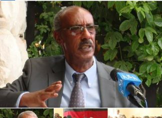 የቀድሞ የኢትዮጵያ የአየር ወለድ ሠራዊት አባላት አሸባሪውን የሕወሓት ቡድን ለመደምሰስ መንግሥት የሚሰጣቸውን ተልዕኮ ለመፈጸም ዝግጁ መሆናቸውን ገለጹ።