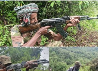 “ከወገን ጦር ጋር ጠላትን በመፋለም ህልውናችንን እናረጋግጣለን” የአዲአርቃይ ወረዳ ሚሊሻዎች