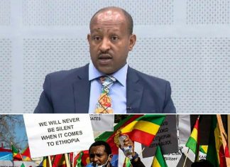 “የትህነግ አሸባሪ ቡድን ካልጠፋ በስተቀር በአፍሪካ ቀንድ ሰላምና መረጋጋት ሊኖር እንደማይችል አሜሪካ ልትገነዘብ ይገባል” የኢትዮጵያ አሜሪካውያን የዜጎች ምክር ቤት