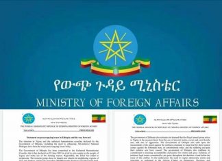 The Government of Ethiopia could not allow the warmongering group to launch new attacks in neighboring regions.: Ministry of foreign affairs of Ethiopia
