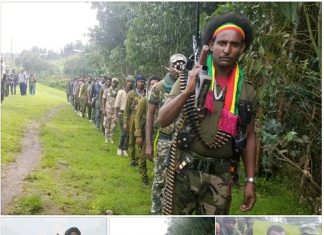 የሰሜን ጎንደር ዞን የአማራ ፋኖ ዝግጅቱን አጠናቆ ወደ ህልውና ዘመቻው መቀላቀሉ ተገለጸ፡፡