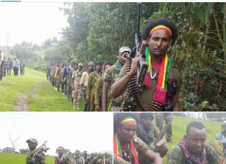 Amhara Fano, a command of the young people, of North Gondar Zone joins the survival campaign.