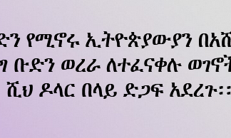 በስዊድን የሚኖሩ ኢትዮጵያውያን በአሸባሪው የትህነግ ቡድን ወረራ ለተፈናቀሉ ወገኖች ከ29 ሺህ ዶላር በላይ ድጋፍ አደረጉ፡፡
