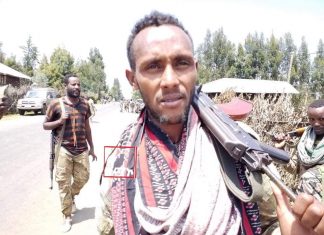 ሽብርተኛውን ትህነግ በማጥፋት ሕዝቡ ወደ ሰላማዊ ሕይወቱ እንዲመለስ እየተፋለሙ መሆኑን የአማራ ልዩ ኀይል በላይ ዘለቀ ብርጌድ አባላት ገለጹ፡፡