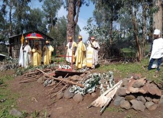 ❝ከደብረ አሚን ጭና ተክለሃይማኖት አፀድ ሥር❞