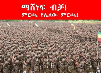 ምርጫ የሌለው ምርጫ ! ማሸነፍ ብቻ!