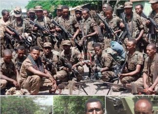 አሸባሪውና ወራሪው የትህነግ ቡድን የሀገር ሰላም ስጋት እንዳይሆን እየቀበሩት መሆኑን በወሎ ግንባር የተሰለፉ የጦር መኮንኖችና የሠራዊት አባላት ገለጹ፡፡