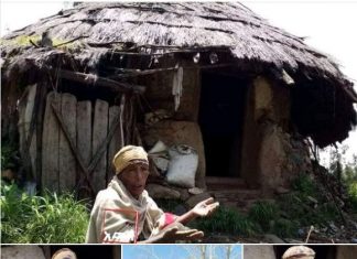 በአሸባሪውና ወራሪው የትህነግ ቡድን የተጎዱ እናት 55 ሺህ ብር ድጋፍ ተደረገላቸው፡፡