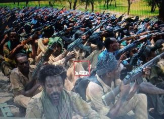 የተከዜን ኮሪደር ተገን ያደረገው የጠላት ጦር በአካባቢው የሚሊሻ አባላት ተደመሰሰ፡፡