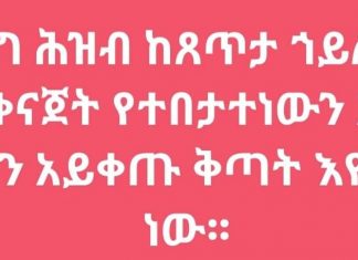 የዋግ ሕዝብ ከጸጥታ ኀይሉ ጋር በመቀናጀት የተበታተነውን አሸባሪ ቡድን አይቀጡ ቅጣት እየቀጣ ነው፡፡