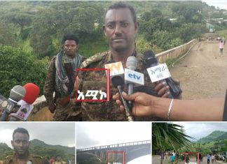ጠላት መልሶ እንዳይቋቋም ካደረጉት ምት መካከል የዛሪማ ምት አንዱ መሆኑን የግንባሩ የክፍለ ጦር አዛዥ ተናገሩ።
