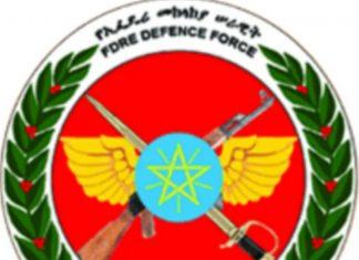 የሀገር መከላከያ ሠራዊት ለትግራይ ወጣቶች እና ሚሊሻ ጥሪ አቀረበ።