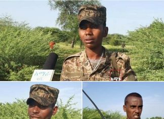 በወልቃይት ጠገዴ ግዳጅ የተሰማሩ የሠራዊት አባላት ወጣቶች መከላከያ ሠራዊትን እንዲቀላቀሉ ጥሪ አቀረቡ።