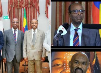 የአሜሪካን መንግሥት ማእቀብ በመጣል የኢትዮጵያን እጅ ለመጠምዘዝና ተንበርካኪ መንግሥት ለመፍጠር የሚያደርገውን ሴራ ለመቋቋም በአንድነት መቆም እንደሚገባ አምባሳደር ተፈሪ መለሰ ገለጹ፡፡