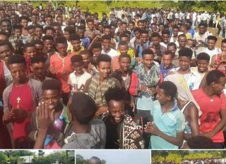 ❝የኢትዮጵያን ህልውና ለማስከበር የሀገር ዋልታና መከታ የሆነውን መከላከያ ሠራዊት ተቀላቅለናል❞ መከላከያ ሠራዊትን ለመቀላቀል የተሸኙ ወጣቶች